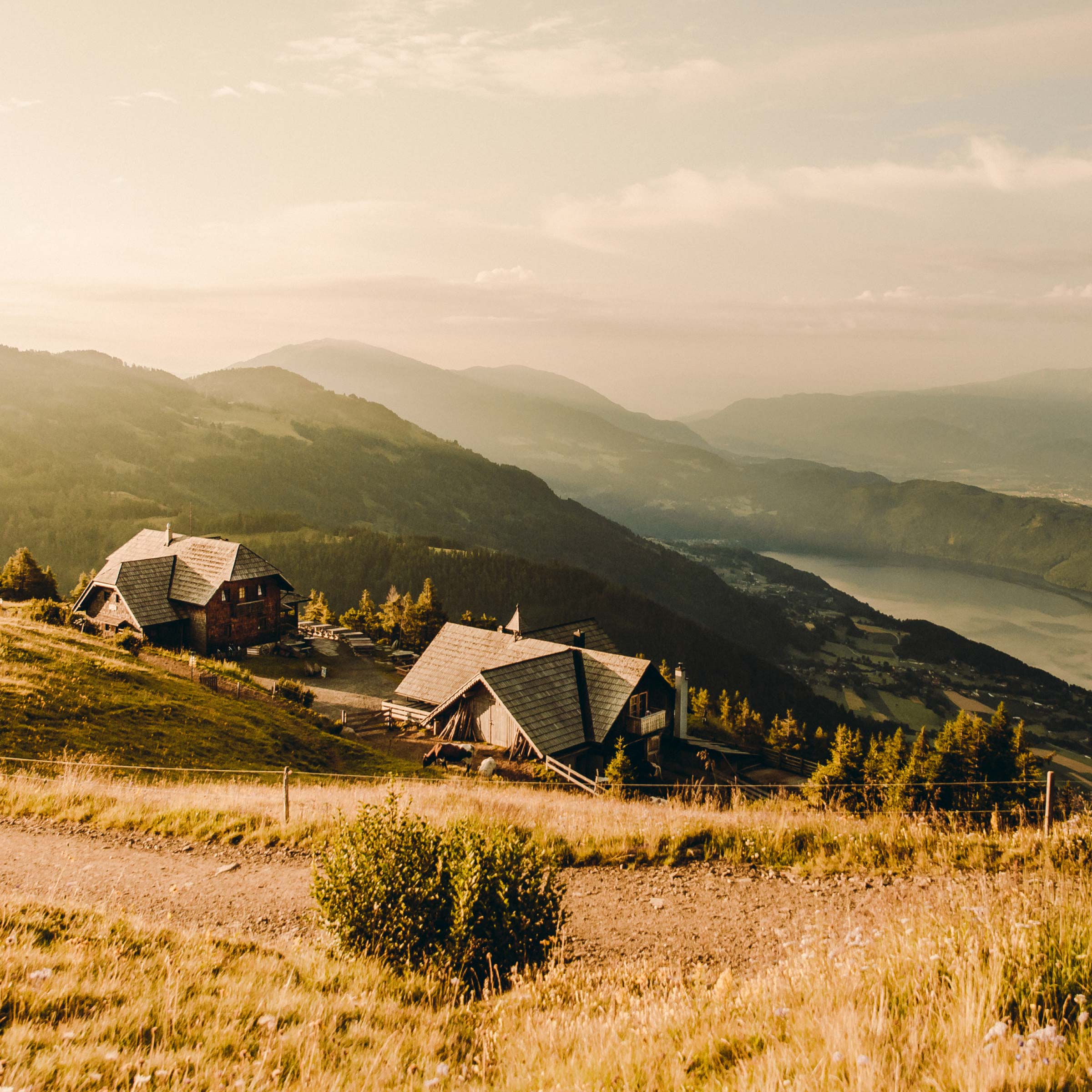 Wertgutschein Produktbild
